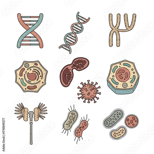 Cellular and Genetic Biology: A Visual Representation of Lifes Building Blocks.