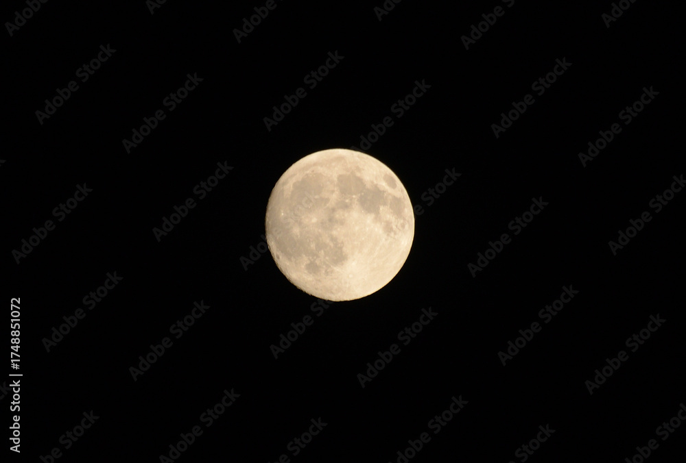 Obraz premium Fall moon