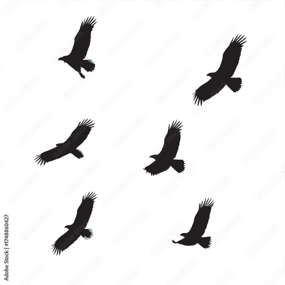 Fototapeta premium Silhouettes of flying birds in black vector style symbolizing freedom and nature