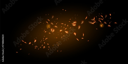Burning Flame Fiery Sparkles Background. Isolated Fire, Red Yellow Orange Sparks, Smoke. Realistic Energy Glow. Hot Blazing Glow Flashes. Realistic Fire Image on Black.