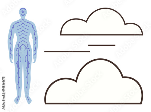Human body with nervous system outline alongside abstract cloud shapes and lines signifying connection. Ideal for healthcare, technology, innovation, networking, data sharing, communication