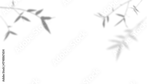 Minimalist abstract vector illustration featuring the soft shadows of bamboo branches and leaves in light gray against a pure white backdrop. Suitable for wallpapers and designs require sense of calm.