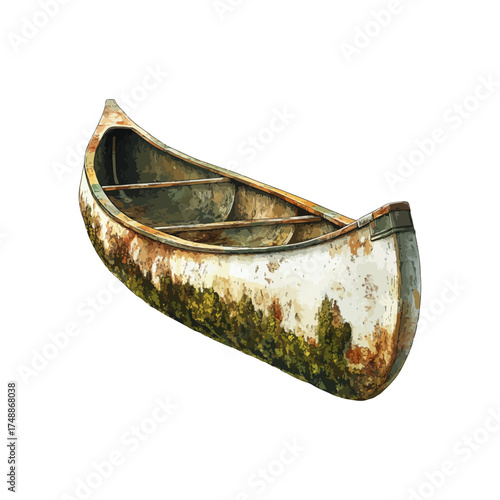mossy canoe hand drawn illustration