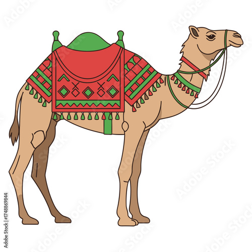 Camel with decorative saddle illustration for travel and cultural projects