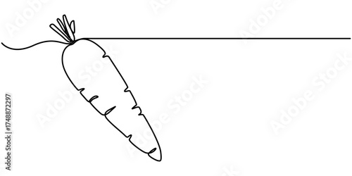 Continuous one line drawing of carrot vegetable. One line drawing vector illustration of carrot plant. Editable outline. 