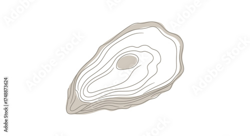 Stylized illustration of an oyster shell with concentric lines on a white background.