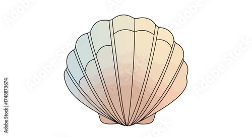 A detailed illustration of a single, large scallop shell with radiating ribs and a gradient of pastel colors.