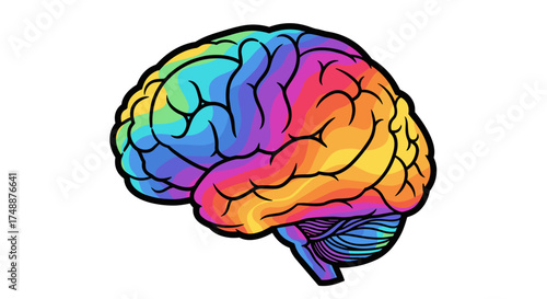 Discover the vibrant and complex world of the human brain and its incredible functions.