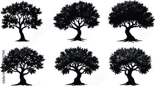  Olive tree silhouettes collection, detailed black tree vector art, Mediterranean nature illustration, ancient tree design elements, landscape silhouette set for natural artwork