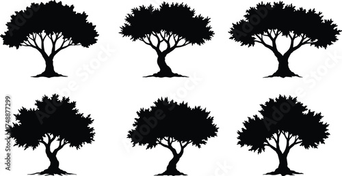  Tree silhouette vector collection, natural forest illustration set for landscape design, nature art, environment, and botanical decoration, isolated black tree shapes