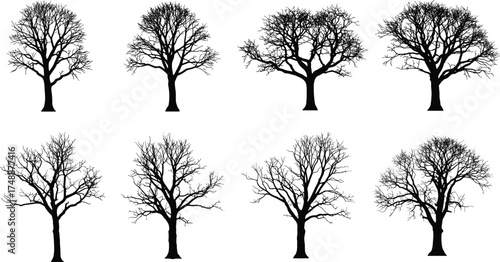  Winter tree silhouettes collection, detailed leafless forest vector art, barren nature illustration, black tree design elements, seasonal landscape silhouette set for artwork