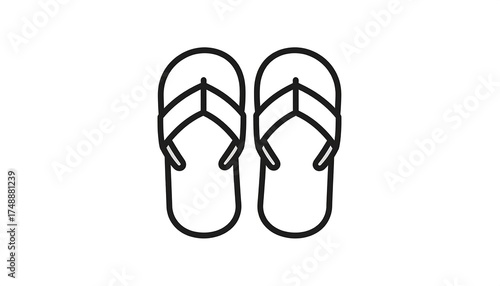 Simple Pair of Flip Flops.