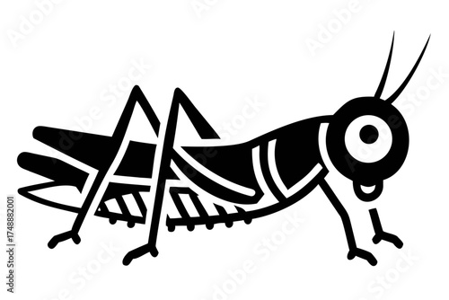 Grasshopper for insect and nature illustration