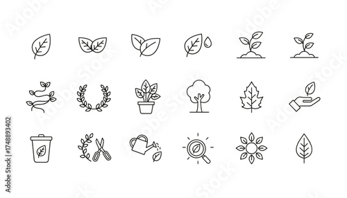 Leaf and plant line icon set. Vector icons for nature, ecology, growth. Concepts for gardening, environment, conservation, organic, bio, sprout, tree, seedling, water.