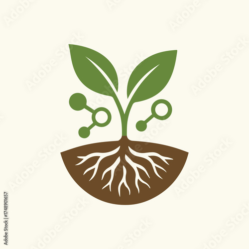 Science Meets Sustainable Plant Growth