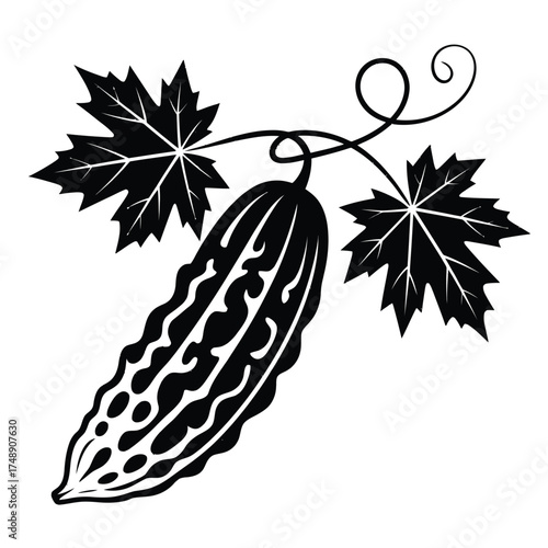 Bitter melon gourd with leaves and vine stylized illustration