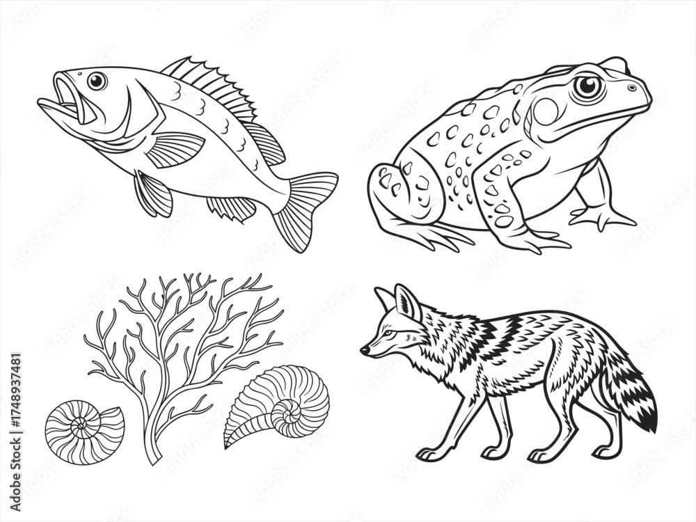 Fototapeta premium coloring page line art the animal black vector bundle