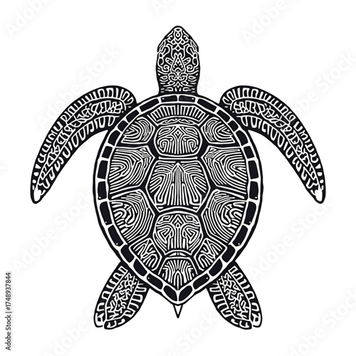 Tortoise Vector – Slow and Steady Animal Illustration