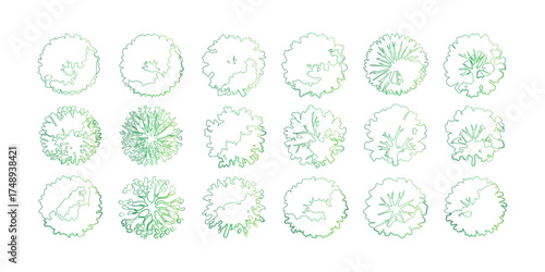 Detailed Green Tree Top View Vector Set for Landscape Architecture and Garden Design Layouts