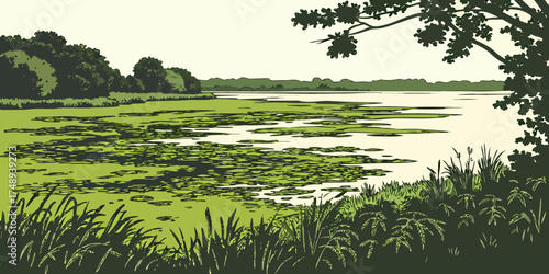 Algae bloom on lake surface with green vegetation and trees  