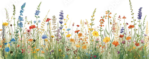 green grass and flowers