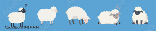 Cute Sheep Illustrations in Various Poses on a Blue Background