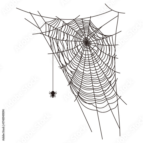 spider web illustration with little kawai on it