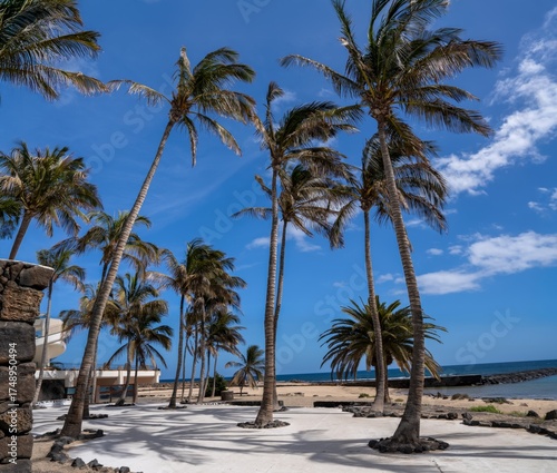 Tropical Beach With Palm Trees Under Clear Blue Sky Over White Sand Coastline