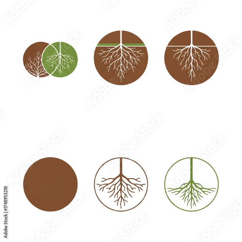 Roots system growing beneath the surface, representing growth and connection to the earth in a minimalist and symbolic style.