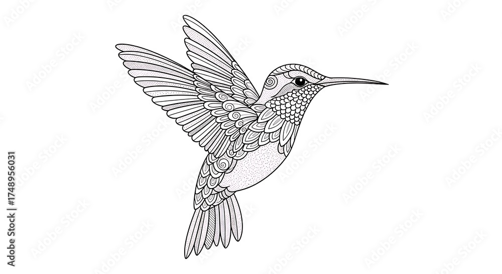 Obraz premium Hummingbird in flight, a beautiful and elegant bird, isolated on white background