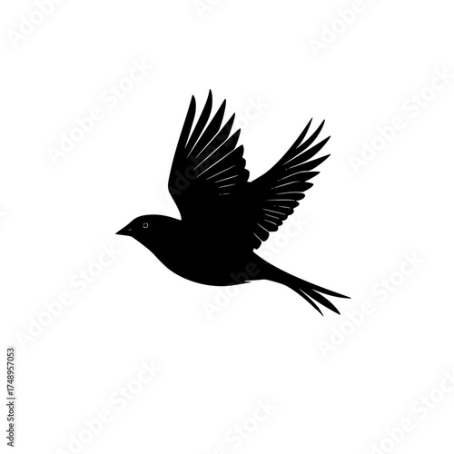 Elegant Black Bird Flight Silhouette