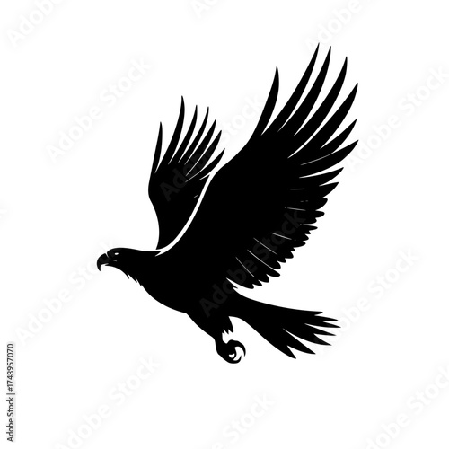 Stylized Bird Flight Silhouette with Bold Details