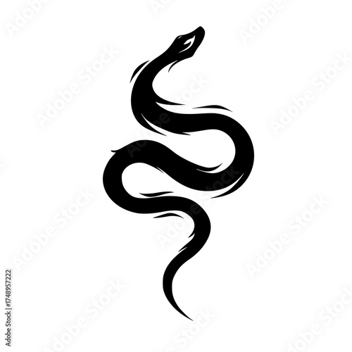 Abstract Black Snake Illustration White Background