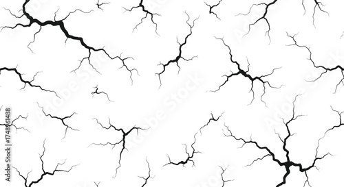 The intricate network of dry earth cracks creates a detailed abstract pattern.
