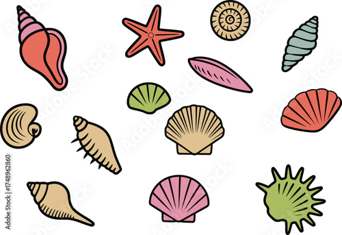 Colorful seashell collection brings coastal charm to your creative projects today