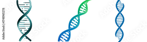 Dna structure helical molecule genetic code biology science medical research gene genome helix strand model on transparent background