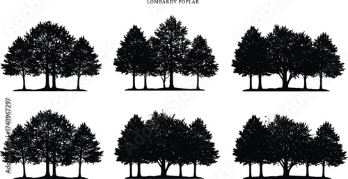  Lombardy poplar tree silhouettes collection, dense forest tree vector set, natural landscape illustration, black nature design elements, woodland scenery art, botanical tree vector