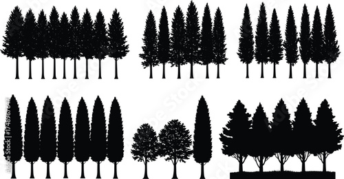  Pine and cypress tree silhouettes collection, forest vector illustration, black isolated conifer trees for landscape design, nature art, and outdoor decoration elements