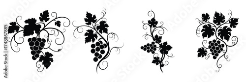 Black Grapevine Ornament Set with Leaves and Clusters
