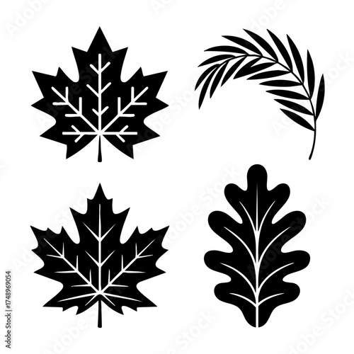 Leaf Icons Collection – Nature and Botanical Silhouette Vector