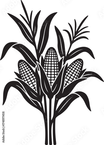 Corn Stalk Illustration: An artful depiction of corn stalks, showcasing the beauty of nature's bounty with meticulous detail and an illustrative style. 