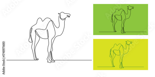 Continuous line illustration of a camel standing. One line drawing camel art, minimalist desert animal outline for travel, nature, wildlife, and modern interior decoration.