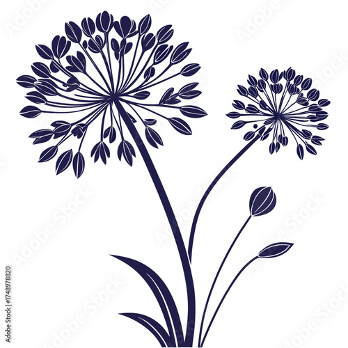 Blue Line Art Allium Style Flower Illustration