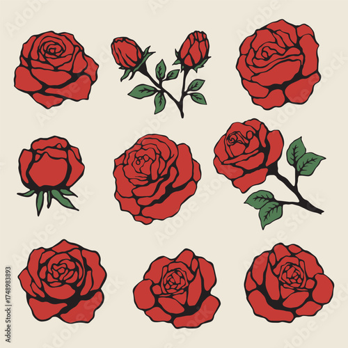 set of red roses hand drawn illustration
