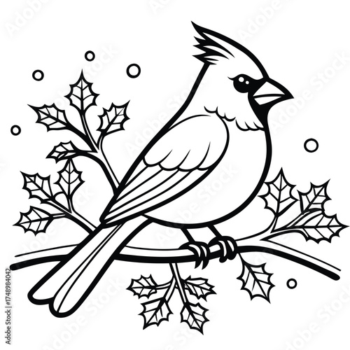 Coloring Page: Cardinal on a Snow-Covered Branch in Winter
