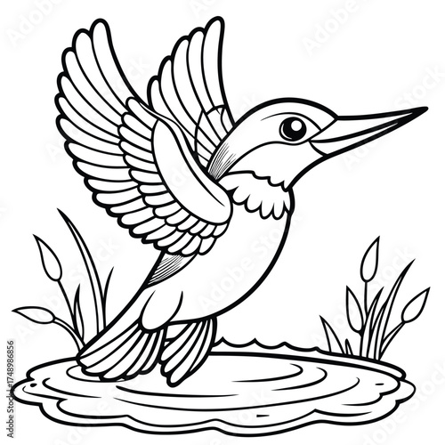 Kingfisher Diving with Grace and Precision into Tranquil Water