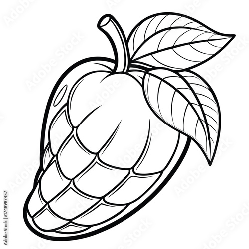 Mango with a Leafy Crown Coloring Page for Kids and Adults