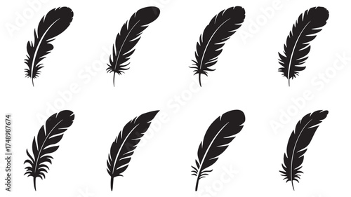 Collection of eight delicate black bird feathers on a white background
