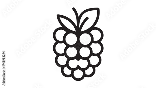 Simple line art illustration of a ripe raspberry with leaves