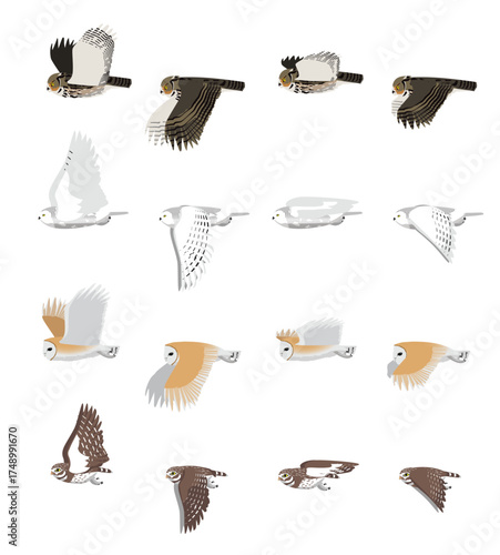 Various Owl Flying Set Animation Cartoon Vector